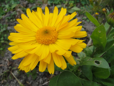 c0108460_15512581.jpg