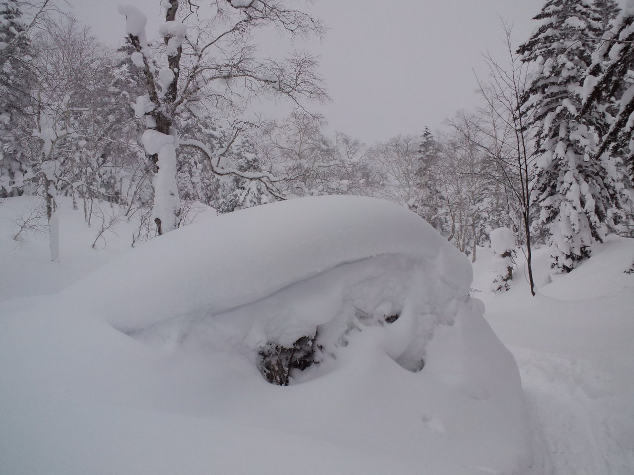 北海道8日目 ☆ 旭岳で撮影_c0151965_13362724.jpg