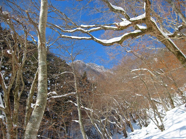 2012.1.14 黒笠山_c0219866_101055.jpg