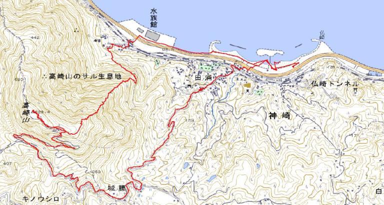 大分の迷峰高崎山登山 そうだ 山に登ろう