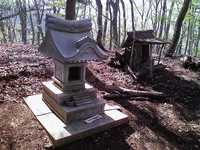 2011/04/24 阿夫利山 安寺沢金剛山_d0233770_013317.jpg