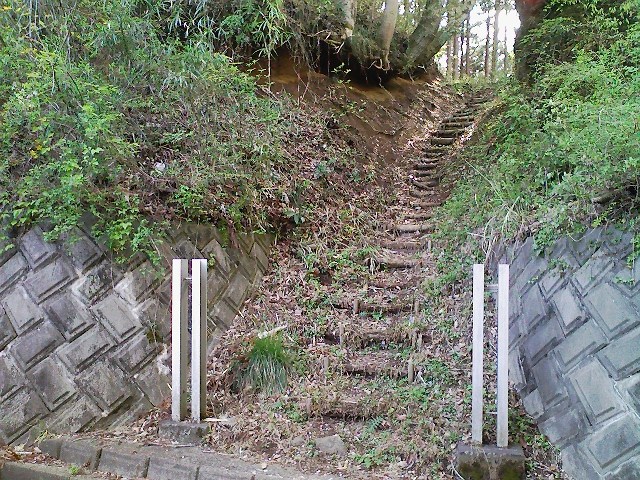 2011/04/24 阿夫利山 安寺沢金剛山_d0233770_01953.jpg