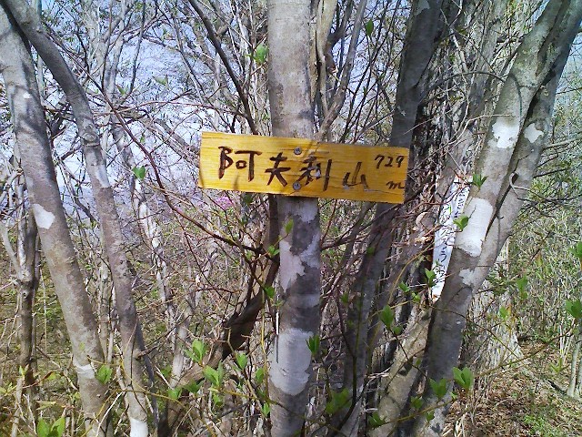 2011/04/24 阿夫利山 安寺沢金剛山_d0233770_05719.jpg