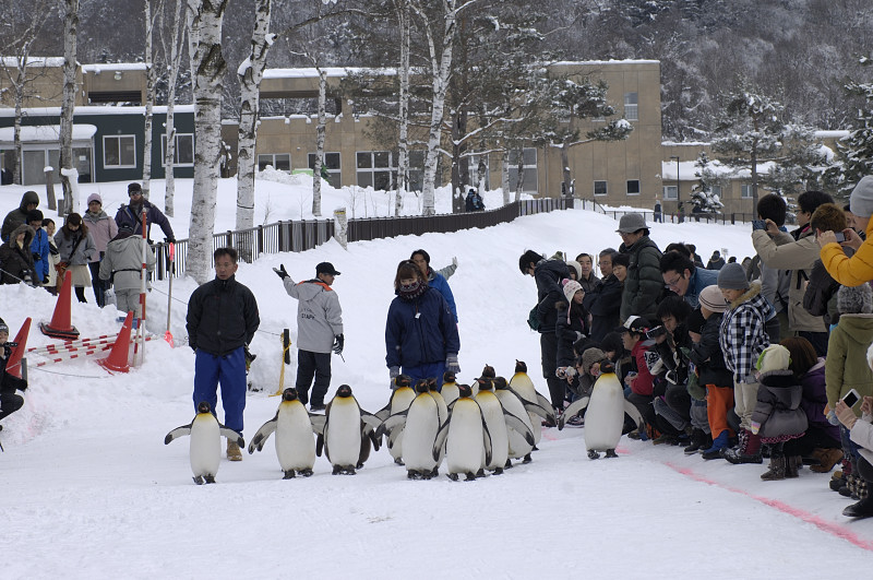 旭山動物園_f0045974_19292091.jpg