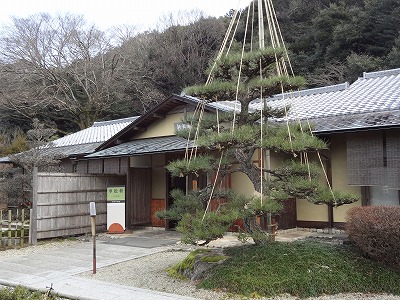 b0140276_2314430.jpg