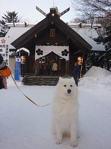 新年あけましておめでとうございます。_c0209379_10402652.jpg