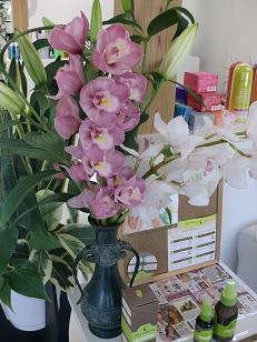 この花の名前?_f0172281_5575255.jpg