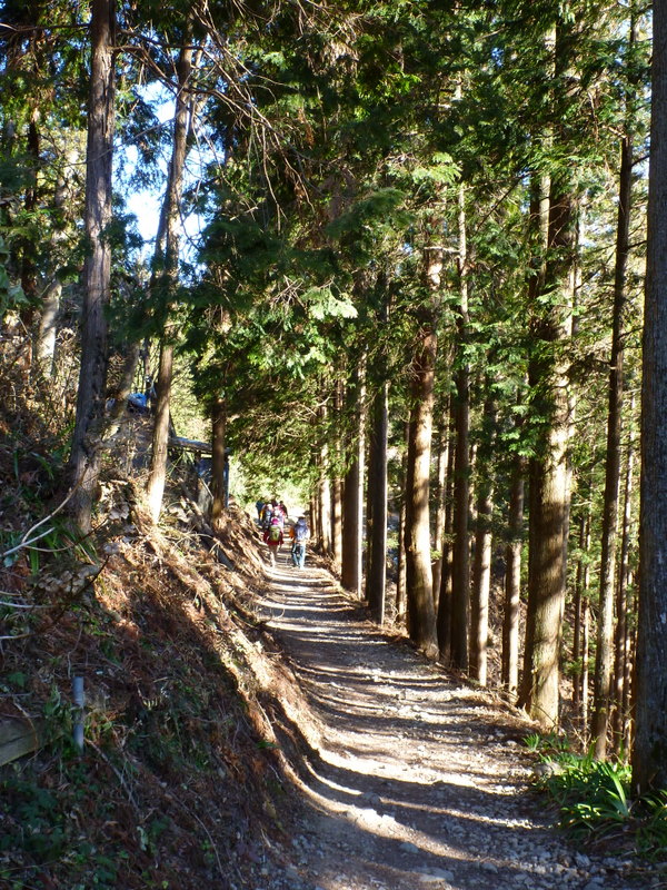 2012年山始め　御岳山～日の出山（2）　御嶽神社から　日の出山登山道へ♪_e0195587_2311430.jpg