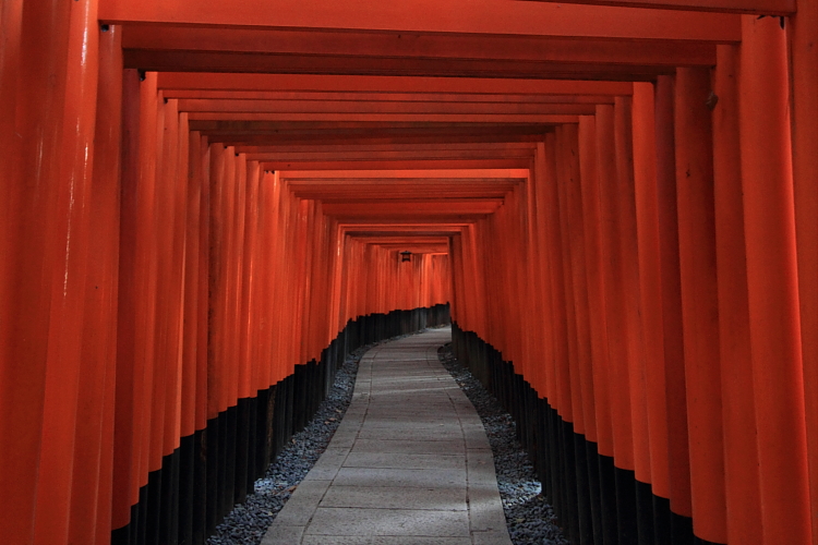 京都・辰年巡り_e0051888_047920.jpg