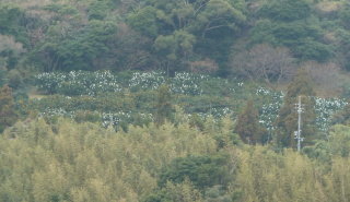 f0166694_17473283.jpg
