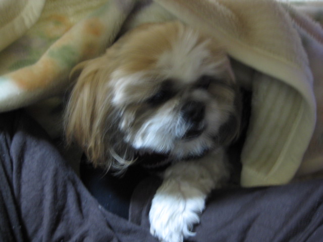 f0220497_1095537.jpg