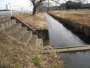 a0117599_23163776.jpg