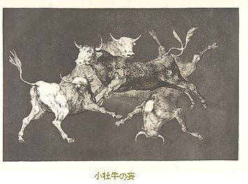 プラド美術館所蔵　ゴヤ展－光と影　＠国立西洋美術館_b0044404_21292444.jpg