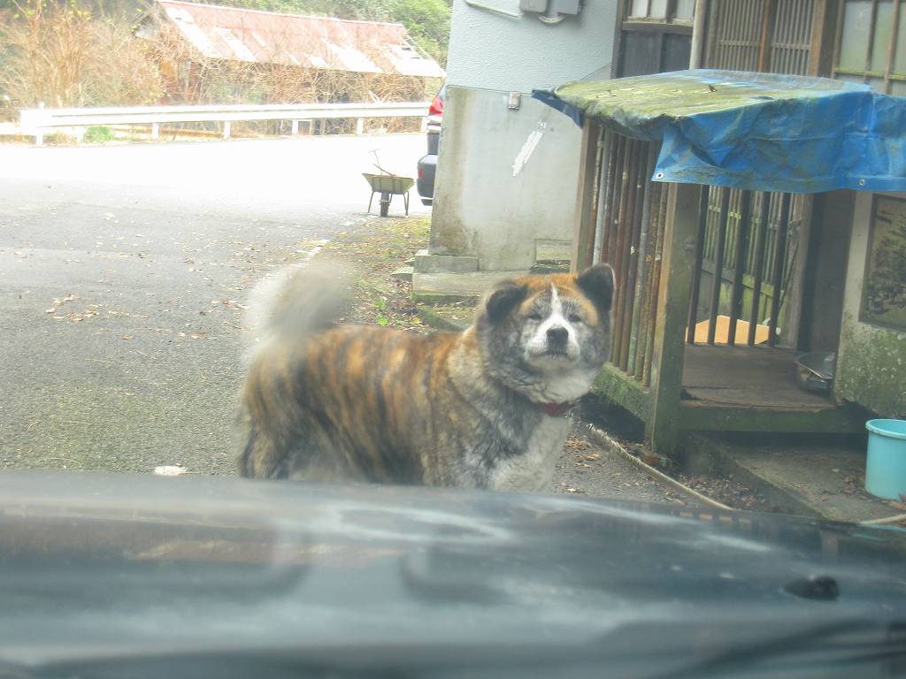 完全凍結の　高瀑の滝 　（たかたるのたき）_b0124306_914168.jpg