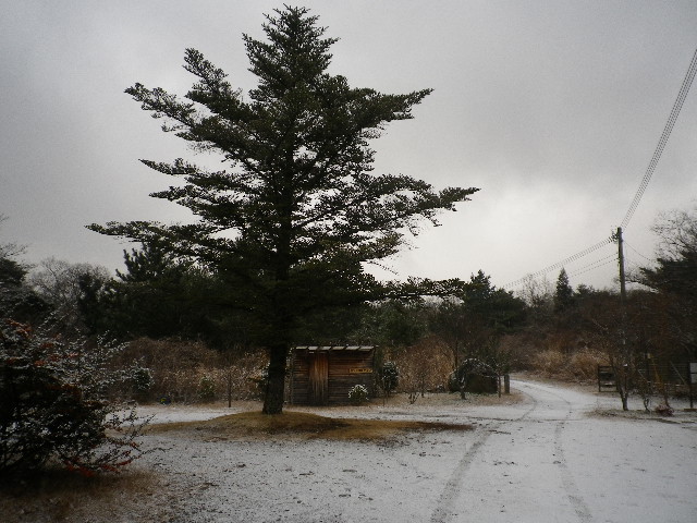 e0179508_8553265.jpg