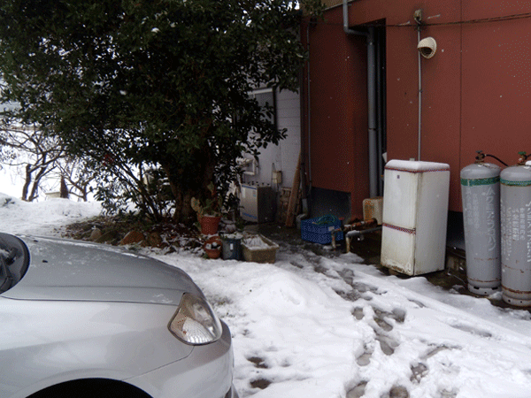 b0159611_3312687.gif