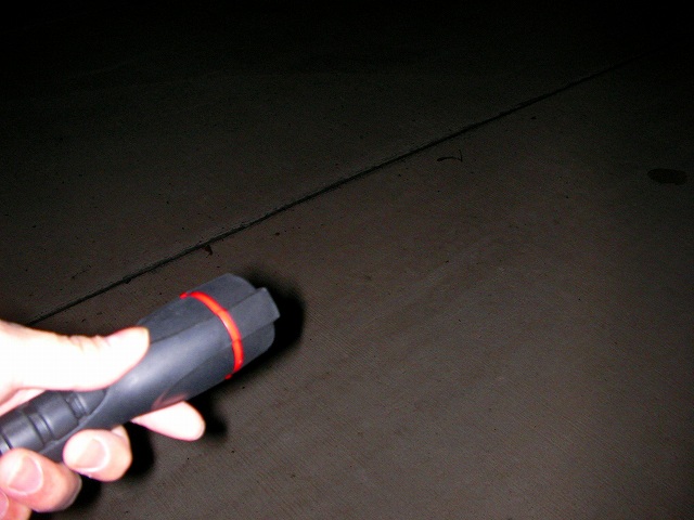 a0243317_12303769.jpg