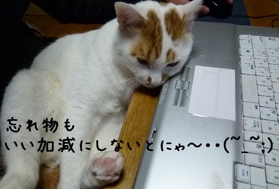 c0013922_22463678.jpg