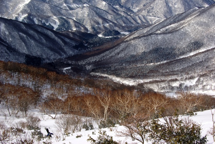 平標山 　1/15_b0062024_2127492.jpg