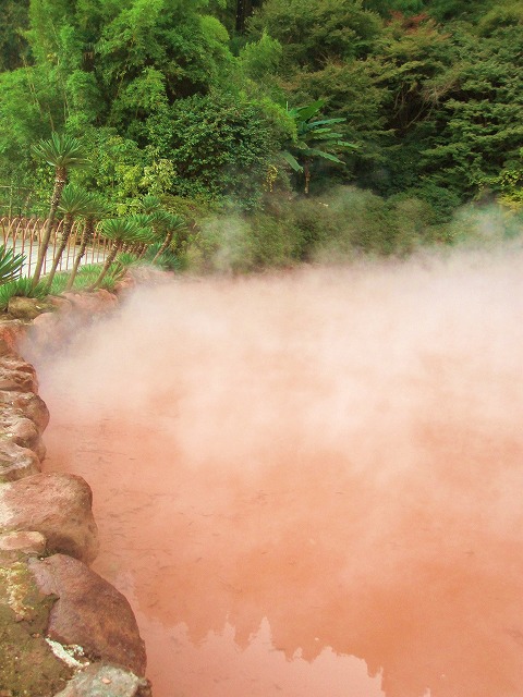 湯布院～別府温泉旅行♪_f0184433_16573362.jpg