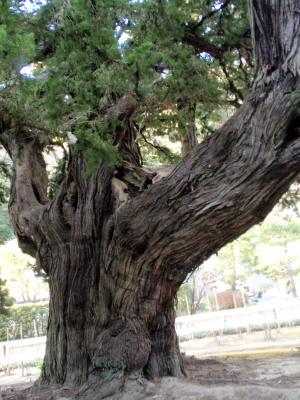 c0097838_18202340.jpg