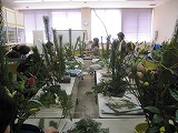 d0101847_12211861.jpg