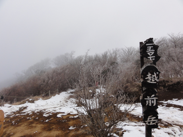 一富士二鷹の愛鷹連峰・越前岳_a0122149_2131488.jpg