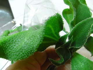 a0251851_02371.jpg
