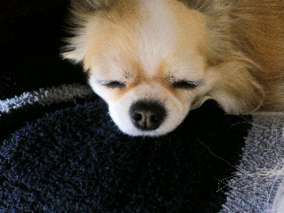 f0188652_13345296.jpg
