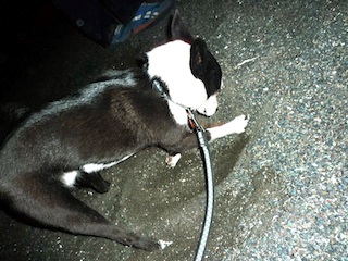 f0034156_10102536.jpg