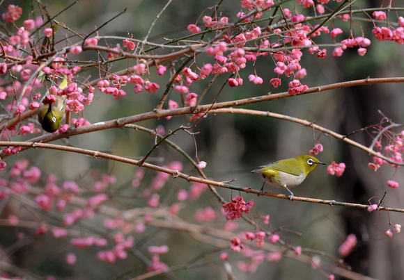 身近な公園_c0205858_16243878.jpg