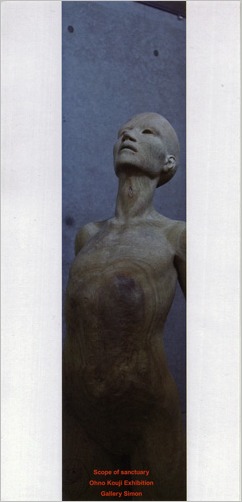 大野公士作品展 「Scope of Sanctuary 聖域の範囲」_f0117059_17481230.jpg