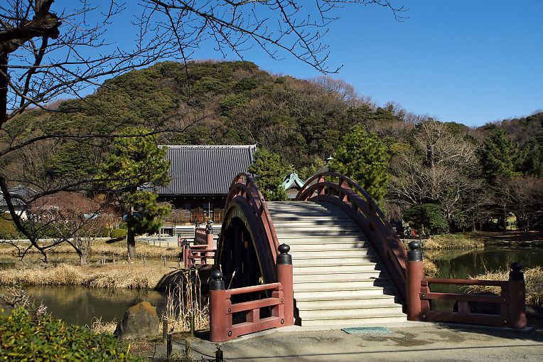 横浜　称名寺（1月13日）_c0057265_404325.jpg