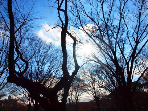 d0251768_22433511.jpg