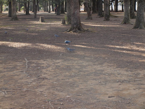 d0251768_22512921.jpg