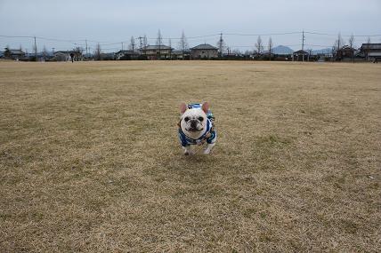 大ハッスル！nonちゃん！_c0174077_17284269.jpg