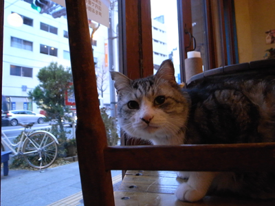 海の向こうの子分_a0180681_23175172.jpg