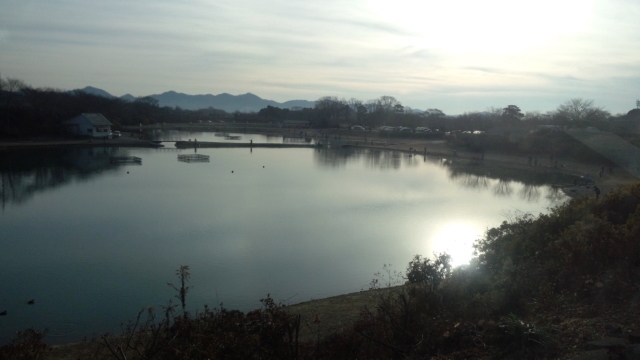 c0157482_15514328.jpg