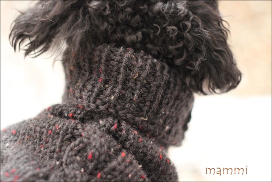 手編みのわんこセーター♪ : がびあーの家の毎日