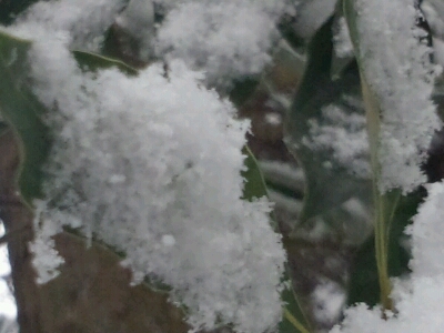 c0208099_01953.jpg