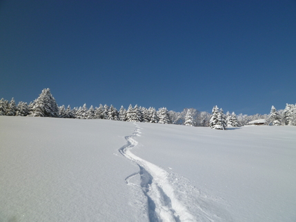 a0248508_1328855.jpg