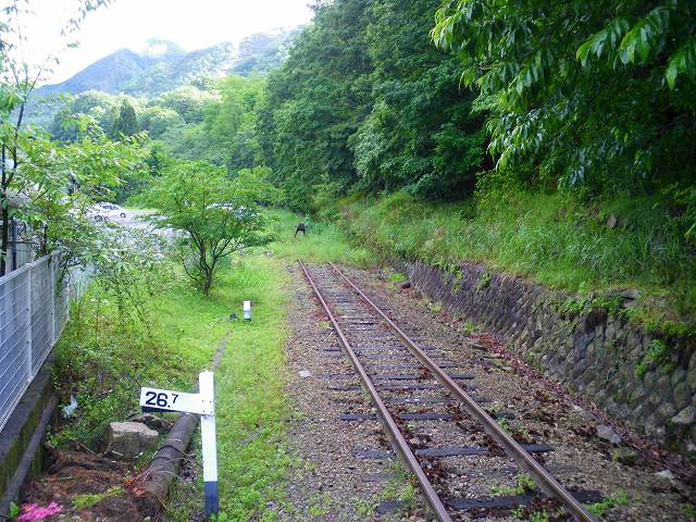 a0243317_12165994.jpg