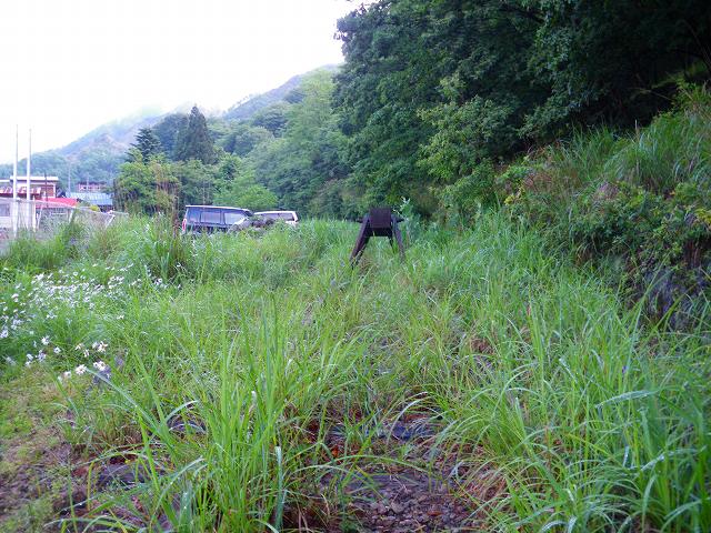 a0243317_12194571.jpg