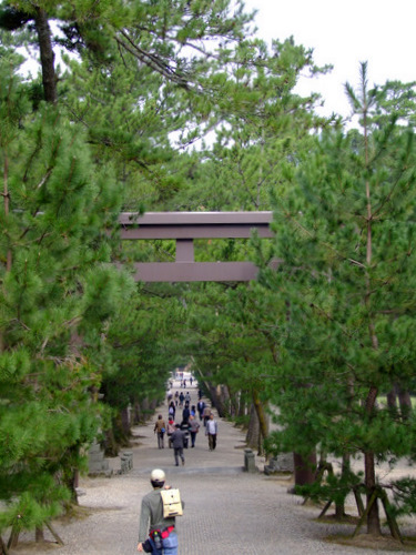 「島根県 出雲・松江を巡る旅2011 出雲大社」_a0000029_1124857.jpg