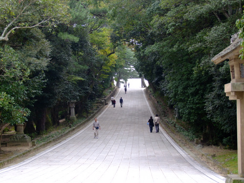 「島根県　出雲・松江を巡る旅2011　出雲大社」_a0000029_119211.jpg