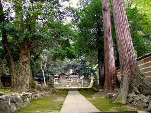 「島根県 出雲・松江を巡る旅2011 出雲大社へ行くならココも行け」_a0000029_23461448.jpg