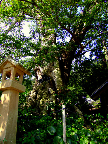 「島根県 出雲・松江を巡る旅2011 出雲大社へ行くならココも行け」_a0000029_23492821.jpg