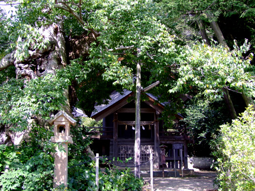 「島根県 出雲・松江を巡る旅2011 出雲大社へ行くならココも行け」_a0000029_23505387.jpg