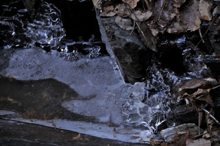 a0166329_23451686.jpg
