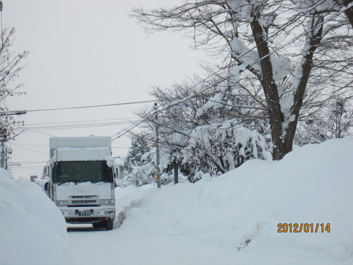 *厳寒・ドカ雪*_f0231042_2010291.jpg